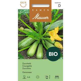 Courgette Genovese - Cucurbita pepo - graines biologiques