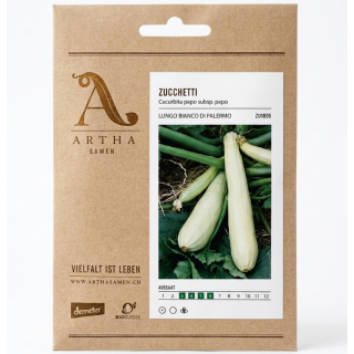 Courgettes Lungo bianco di Palermo - Cucurbita pepo -...
