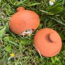Cocon pour perce-oreilles en terracotta