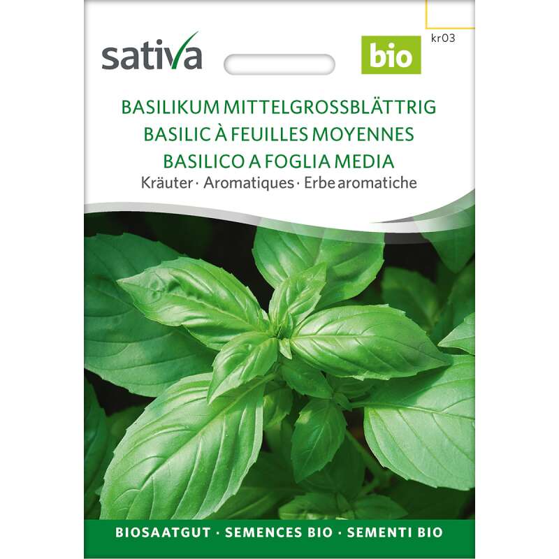 Basilikum, mittelgrossblättrig - Ocimum basilicum - BIOSAMEN