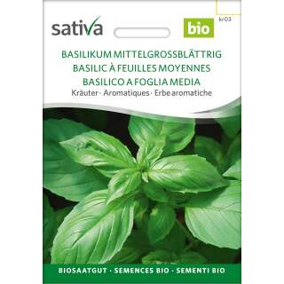 Basilikum, mittelgrossblättrig - Ocimum basilicum -...