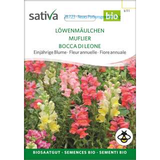 Löwenmaul - Antirrhinum majus - BIOSAMEN