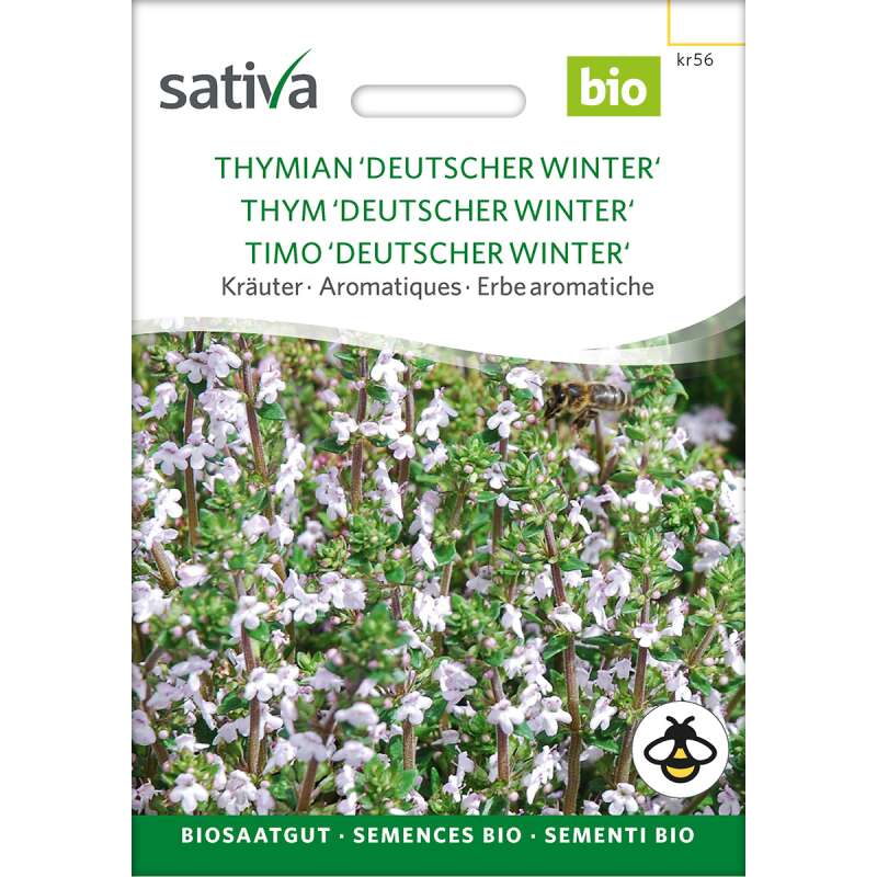 Thymian, Deutscher Winter  - Thymus vulgaris - BIOSAMEN