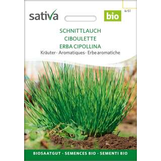 Schnittlauch - Allium schoenoprasum - BIOSAMEN