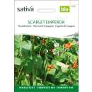 Feuerbohne Scarlett Emperor - Phaseolus coccineus - BIOSAMEN