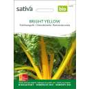 Krautstiel, Stielmangold Bright Yellow - Beta vulgaris var. flavescens - BIOSAMEN