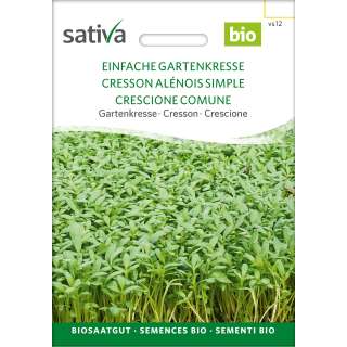 Kresse, Gartenkresse, einfache - Lepidium sativus - BIOSAMEN