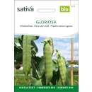 Markerbse Gloriosa - Pisum sativum - BIOSAMEN