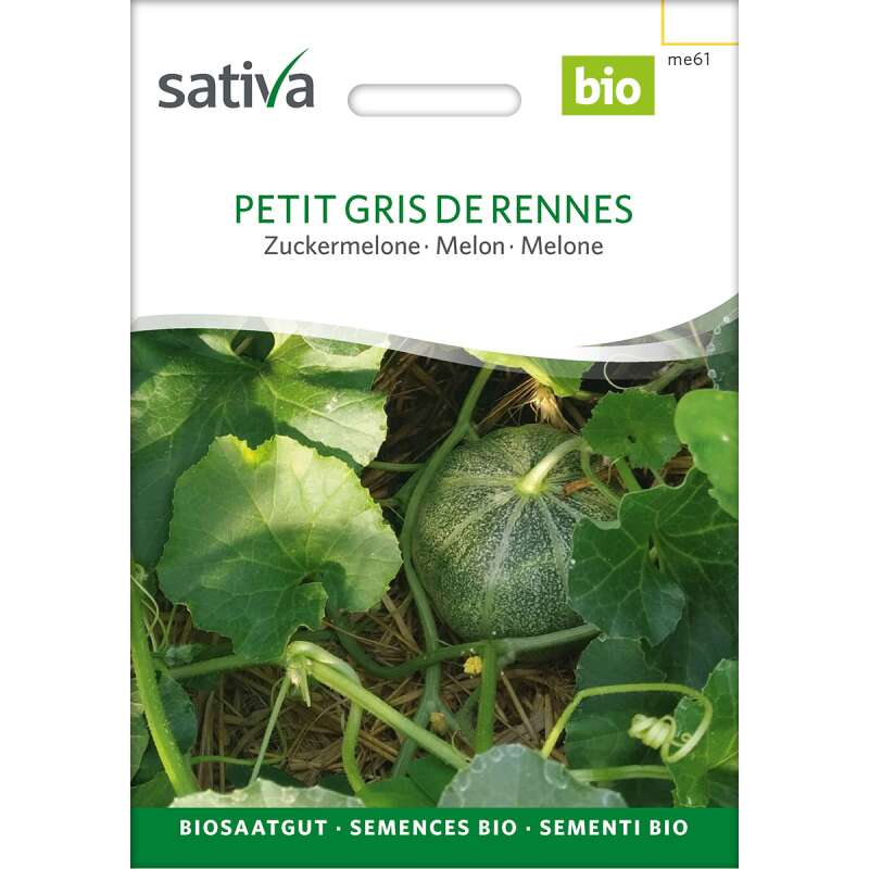 Melone Gris de Rennes - Cucumis melo - BIOSAMEN