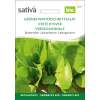 Pflücksalat , Winterschnittsalat, grüner - Lactuca sativa - BIOSAMEN