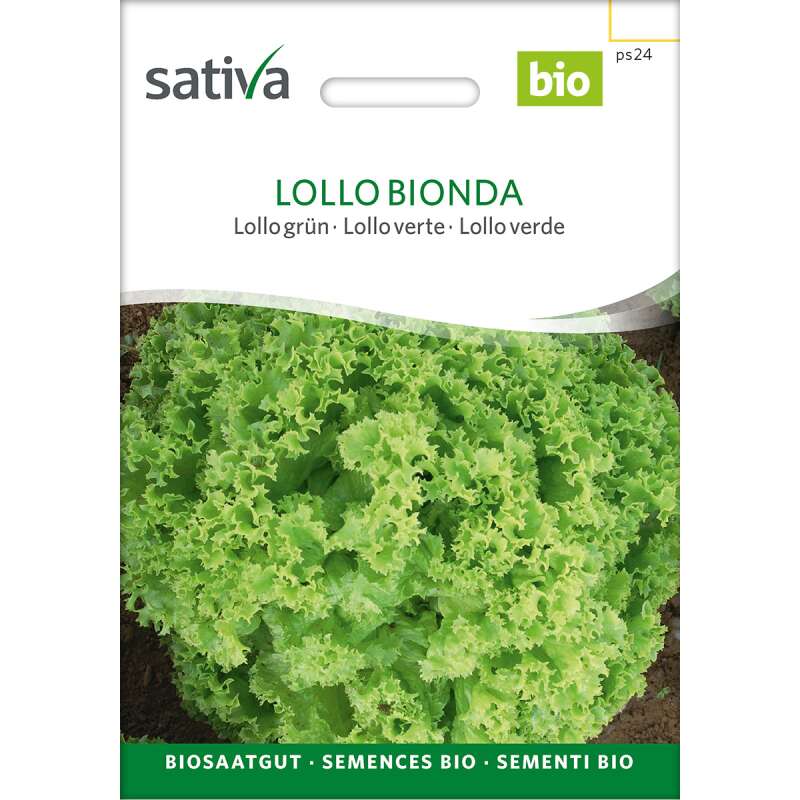 Pflücksalat Lollo bionda - Lactuca sativa - BIOSAMEN