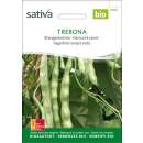 Stangenbohne Trebona - Phaseolus vulgaris - BIOSAMEN
