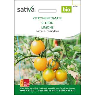 Tomate Zitronentomate - Lycopersicon esculentum - BIOSAMEN