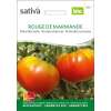 Tomate Rouge de Marmande - Lycopersicon esculentum - BIOSAMEN