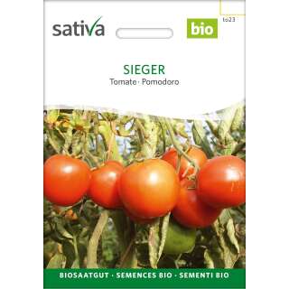 Tomate Sieger - Lycopersicon esculentum - BIOSAMEN