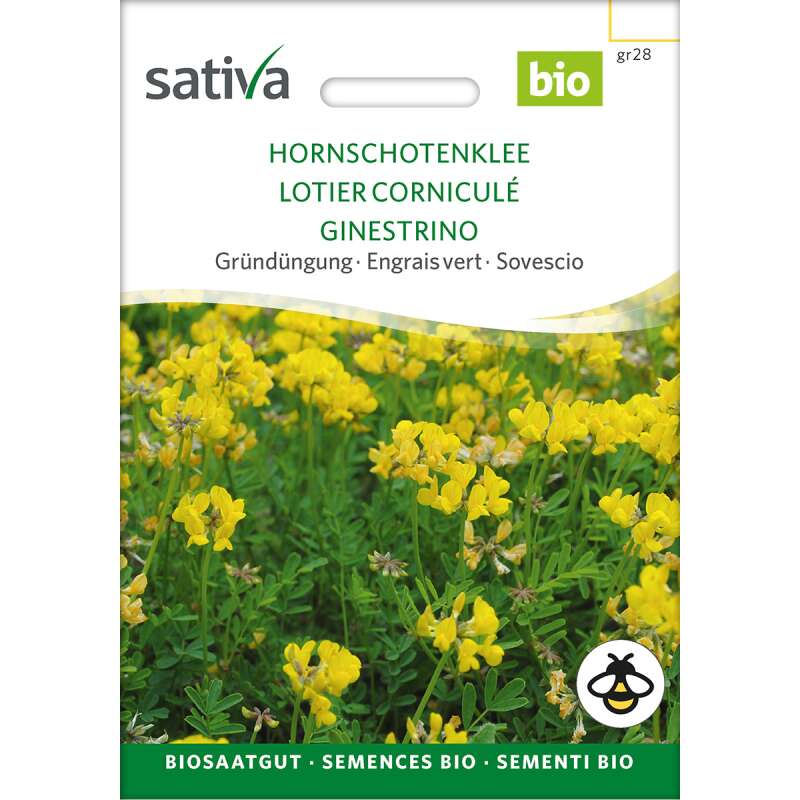 Gründüngung Hornschotenklee - Lotus corniculatus  - BIOSAMEN