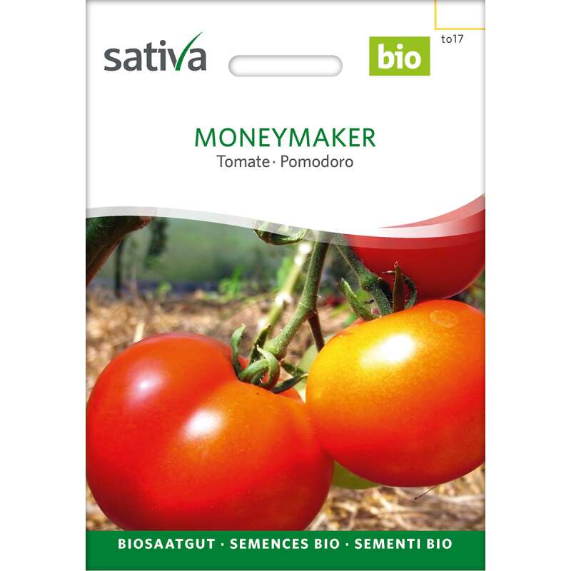 Tomate Moneymaker - Lycopersicon esculentum - BIOSAMEN