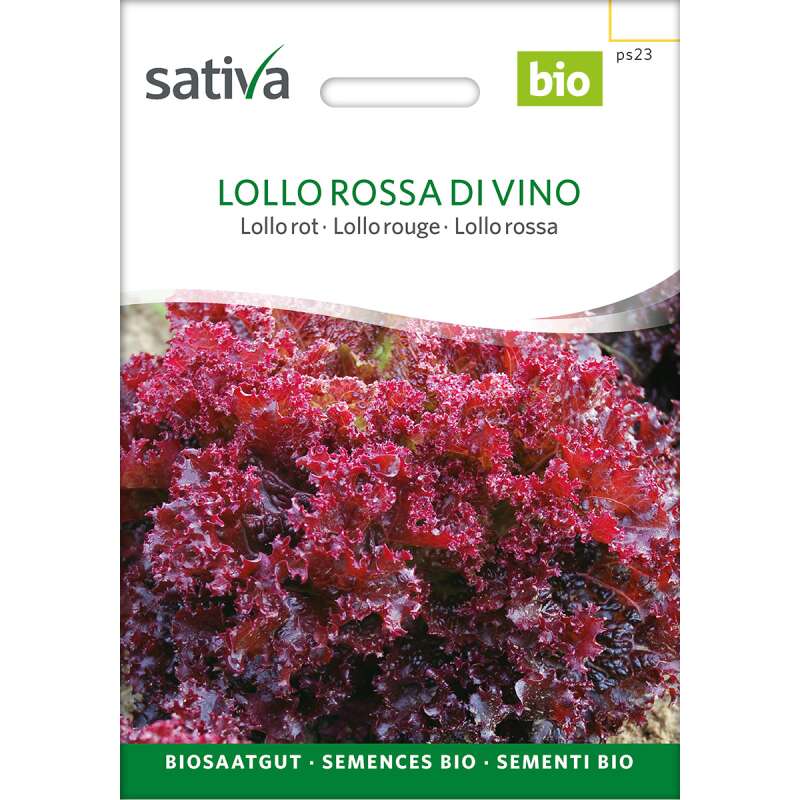 Eichblattsalat, Lattughino Lollo rosso - Lactuca sativa - BIOSAMEN