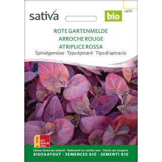 Gartenmelde, rote - Atriplex hortensis rubra - BIOSAMEN