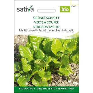 Schnittmangold grüner - Beta vulgaris  - BIOSAMEN