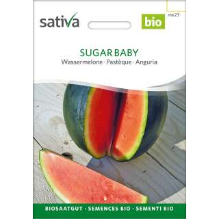 Wassermelone Sugar Baby - Citrullus lanatus  - BIOSAMEN