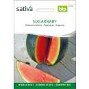 Wassermelone Sugar Baby - Citrullus lanatus  - BIOSAMEN
