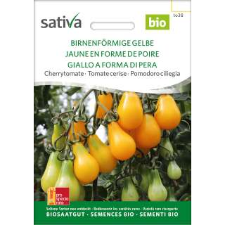 Tomate BIRNENFÖRMIGE GELBE - Lycopersicon esculentum - BIOSAMEN
