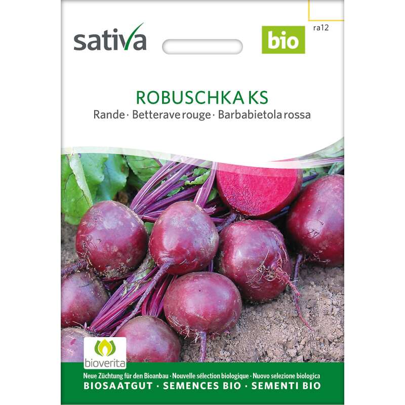 Rande, Rote Bete Robuschka KS - Beta vulgaris  - BIOSAMEN