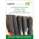 Mais, schwarzer Tortillamais - Zea mays - BIOSAMEN