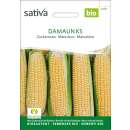 Zuckermais Damaun KS - Zea mays - BIOSAMEN