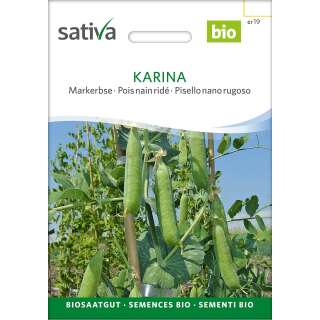 Markerbse Karina - Pisum sativum  - BIOSAMEN