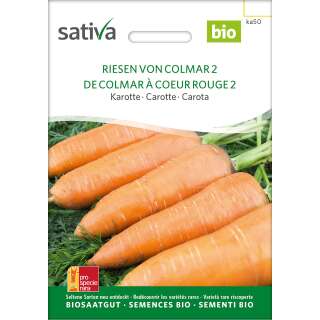 Karotte Riesen von Colmar - Daucus carota  - BIOSAMEN