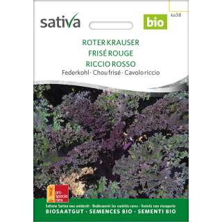 Federkohl, Grünkohl Roter Krauser - Brassica ol.acephala sabellica  - BIOSAMEN