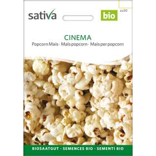 Popcorn Mais - Zea mays - BIOSAMEN