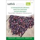 Popcorn Mais, schwarzer - Zea mays - BIOSAMEN