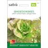 Lattich De Morges - Lactuca sativa longifolia- BIOSAMEN