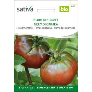 Tomate Noir de Crimée- Schwarze Krim - Lycopersicon esculentum  - BIOSAMEN
