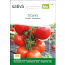 Tomate, resistente Gewächshaustomate Tica - Lycopersicon esculentum  - BIOSAMEN
