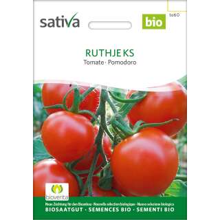 Tomate Ruthje - Lycopersicon esculentum  - BIOSAMEN