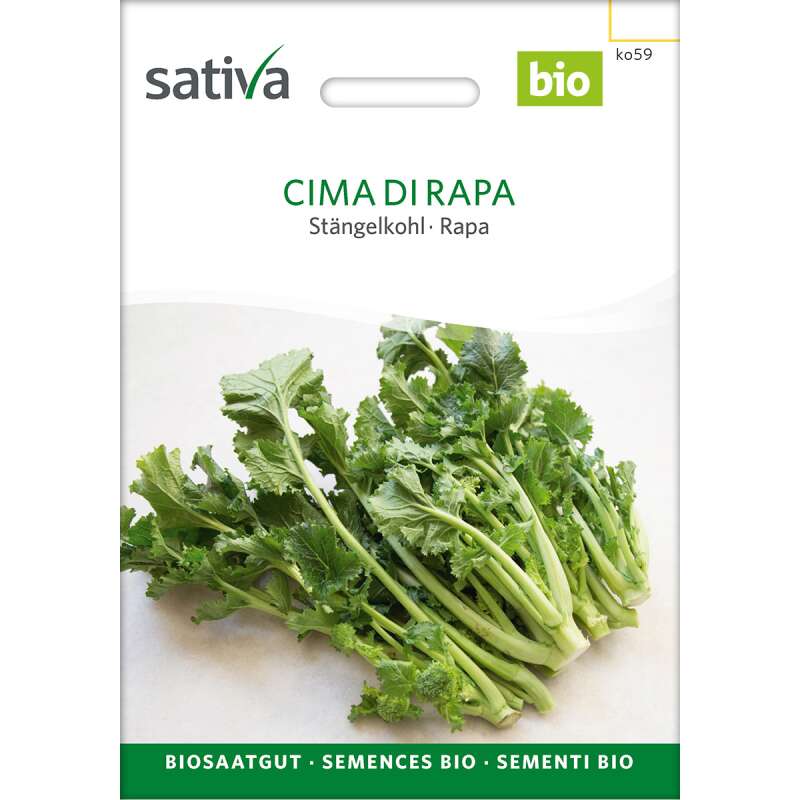 Stengelkohl Cima di Rapa - Brassica rapa var. cymosa  - BIOSAMEN