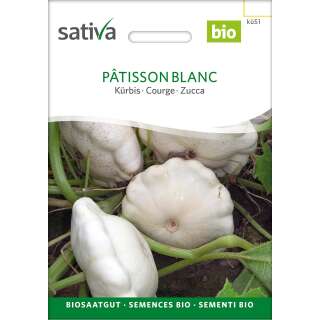 Patisson, weiss - Cucurbita pepo var. patissonina  - BIOSAMEN