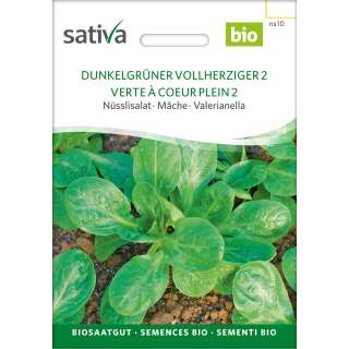 Nüsslisalat, Feldsalat Dunkelgrüner vollherziger 2 - Vallerianella locusta - BIOSAMEN