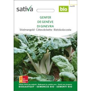 Mangold Genfer - Beta vulgaris  - BIOSAMEN