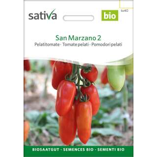 Tomate San Marzano - Lycopersicon esculentum - Bio-Samen