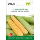 Zuckermais Golden Bantam - Zea mays  - BIOSAMEN