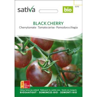 Tomate Black Cherry - Lycopersicon esculentum -Bio-Samen