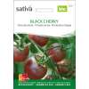 Tomate Black Cherry - Lycopersicon esculentum -Bio-Samen