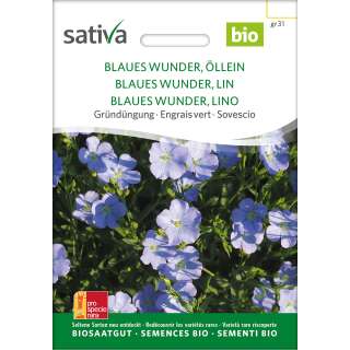 Gründüngung Blaues Wunder, Öllein - Linum usitatissimum - BIOSAMEN