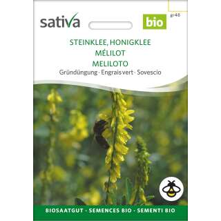 Gründüngung STEINKLEE, Honigklee - Melilotus off. - BIOSAMEN