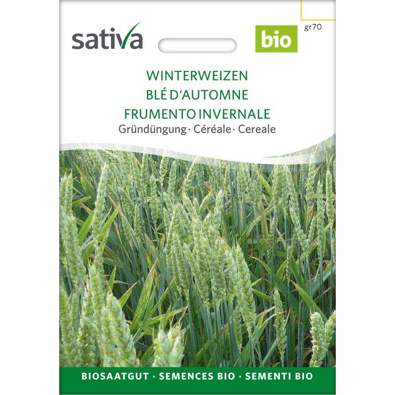 Getreide Winterweizen - Triticum aestivum - BIOSAMEN